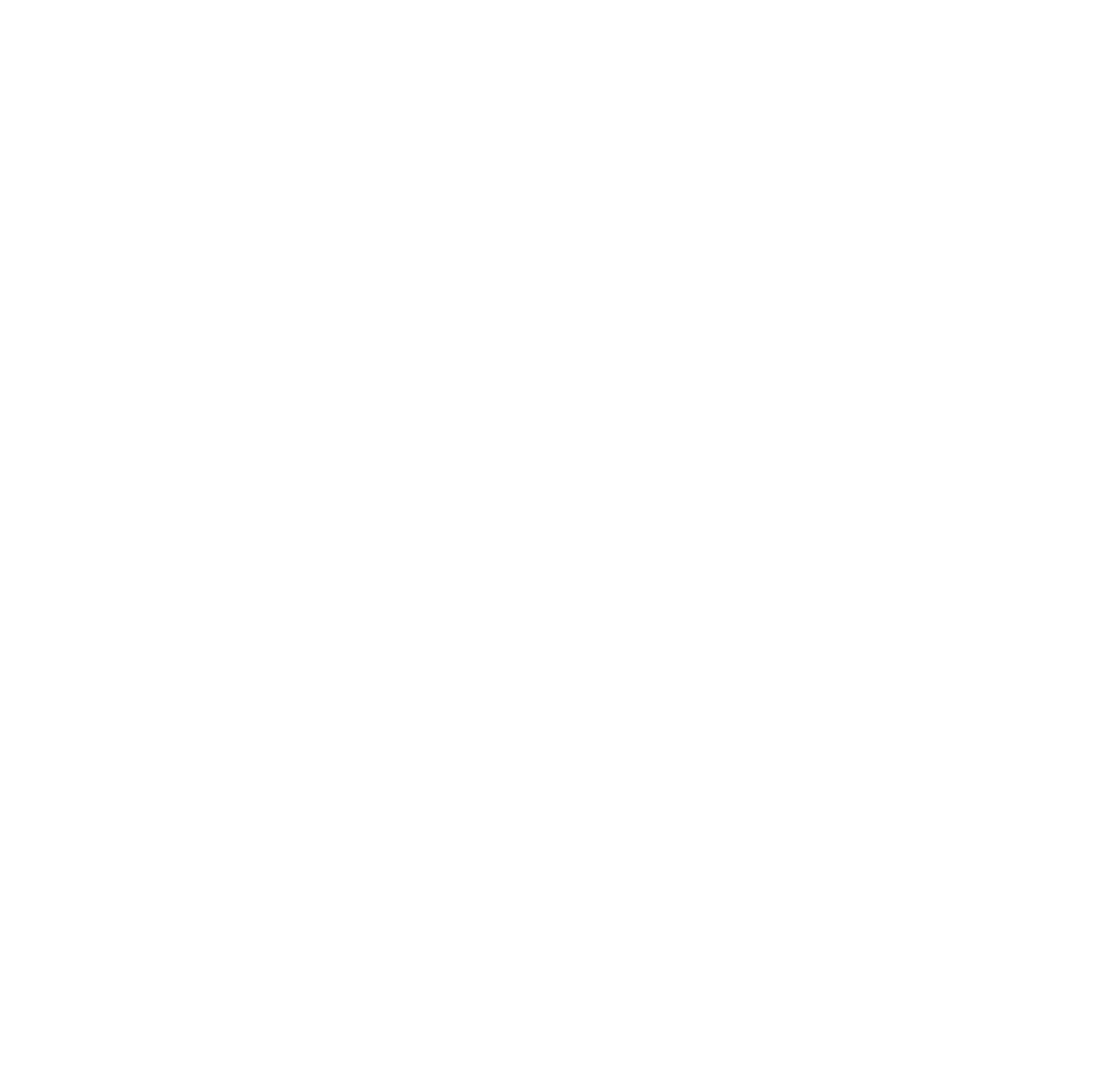 Instagram icon white
